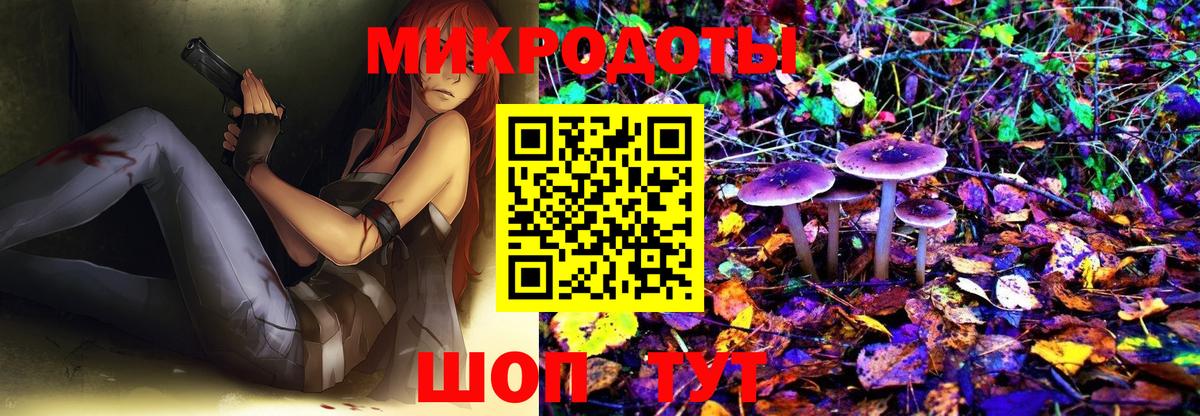 Дзержинский  Галлюциногенные грибы Magic Shrooms  Вход с VPN 